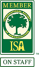 Certified Arborist ISA